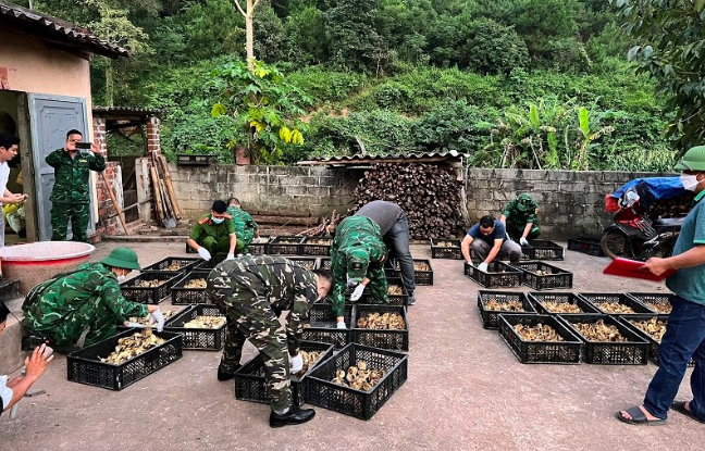 Lạng Sơn: Phát hiện gần 5.000 gà giống nhập lậu 